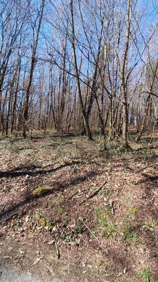  Terrain  vendre 1996 m