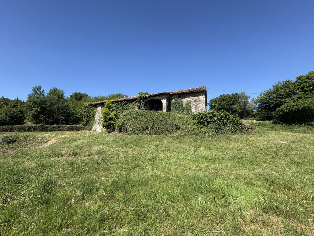 GRANGE A RESTAURER A FORT POTENTIEL