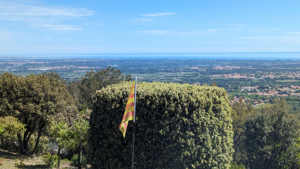  vendre  Proprit/chteau Laroque-des-Albres (66740)