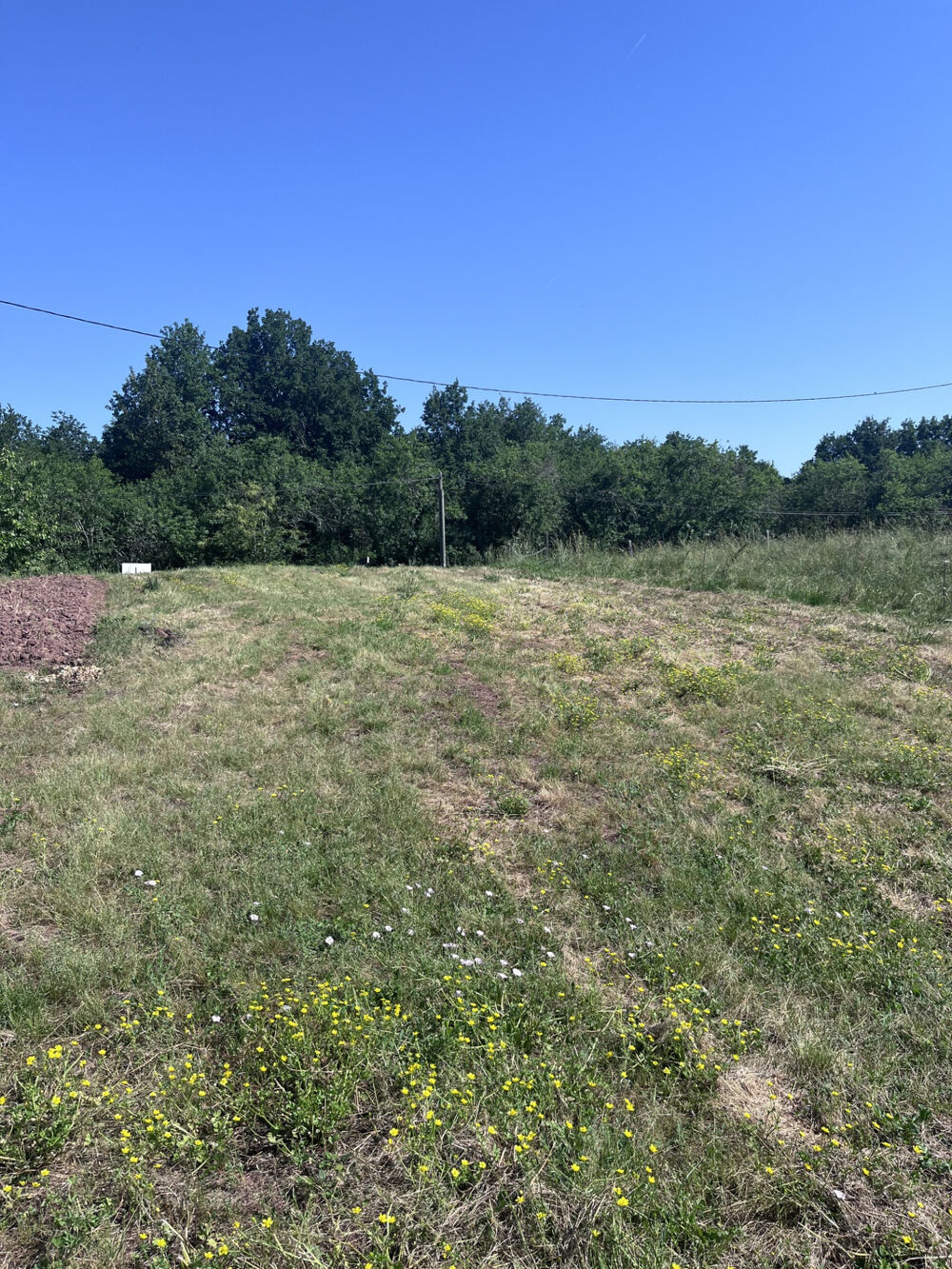 Vente Terrain Terrain constructible - Vars sur Roseix - Vars sur roseix