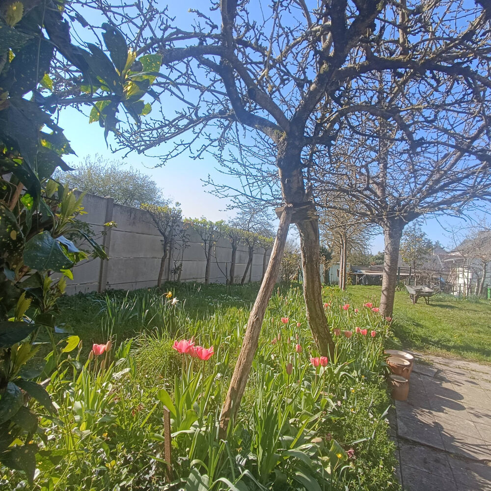 Maison en pierre, 3 chambres , jardin clos 1000 m2, garage, Bourg de Mauron