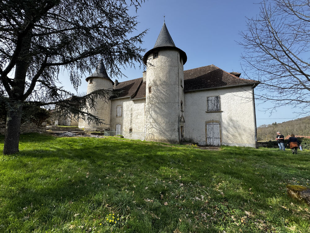 Château et son domaine _ Ensemble immobilier à fort potentiel