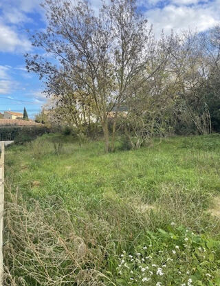  Terrain à vendre 5 pièces 550 m²