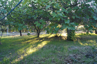 Terrain à vendre 5359 m²