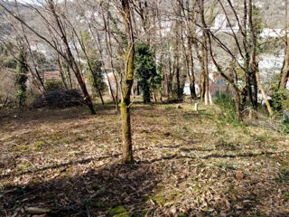  Terrain � vendre 1718 m�