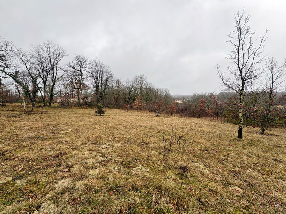 Vente Terrain Terrain constructible 3123 m2 Chavagnac