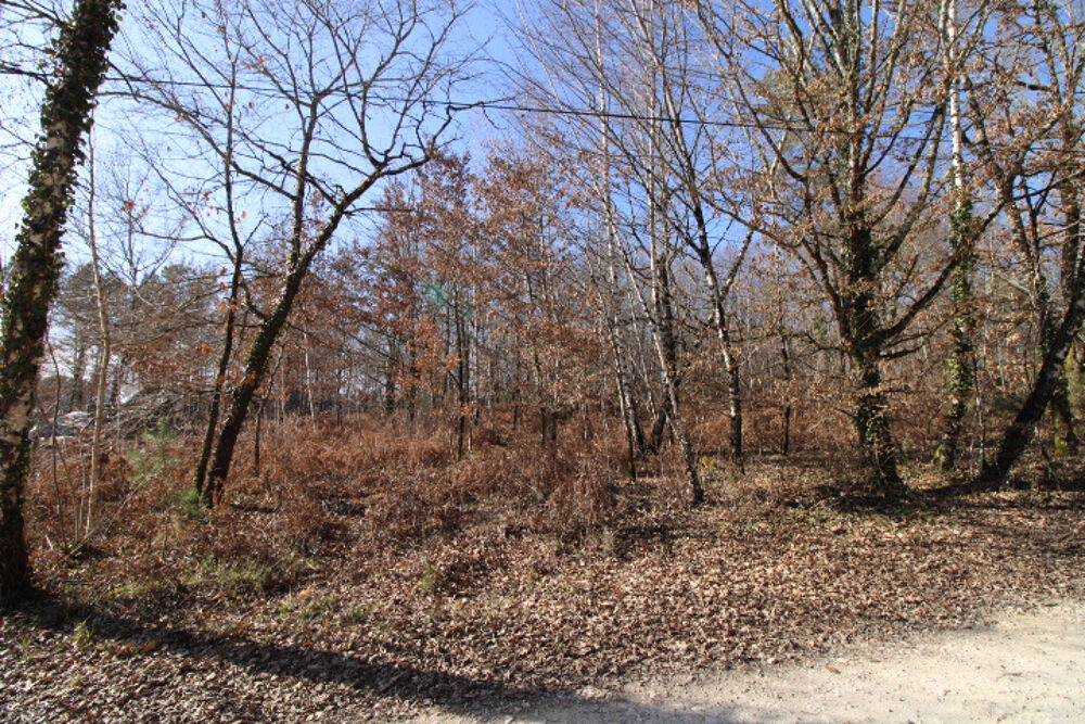 Vente Terrain NOUVEAUTE : Terrain 2 000 m2 pour bâtir Sarliac sur l isle