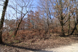  Terrain à vendre 2000 m²