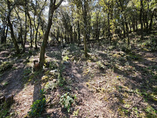  Terrain � vendre 4159 m�