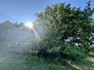  Terrain � vendre 2241 m�