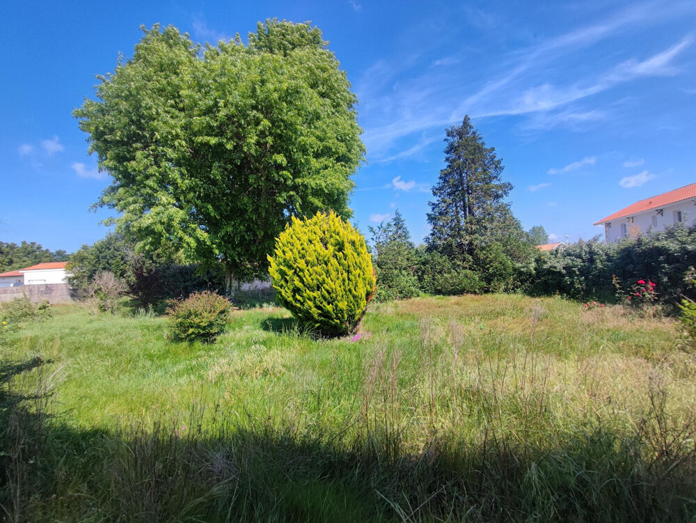 Vente Terrain BEAU TERRAIN AVEC DEPENDANCE Biscarrosse