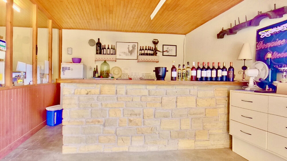 domaine viticole confidentiel au coeur de lAOP Cahors, avec une surface totale de 18 hectares