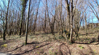  Terrain  vendre 4123 m