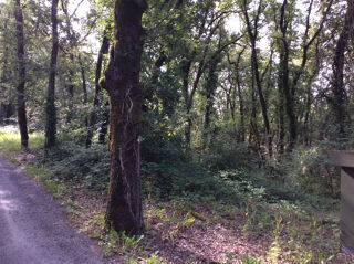  Terrain � vendre 1418 m�