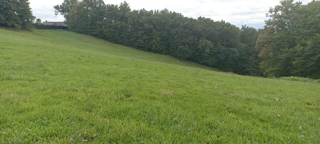  Terrain à vendre 5260 m²