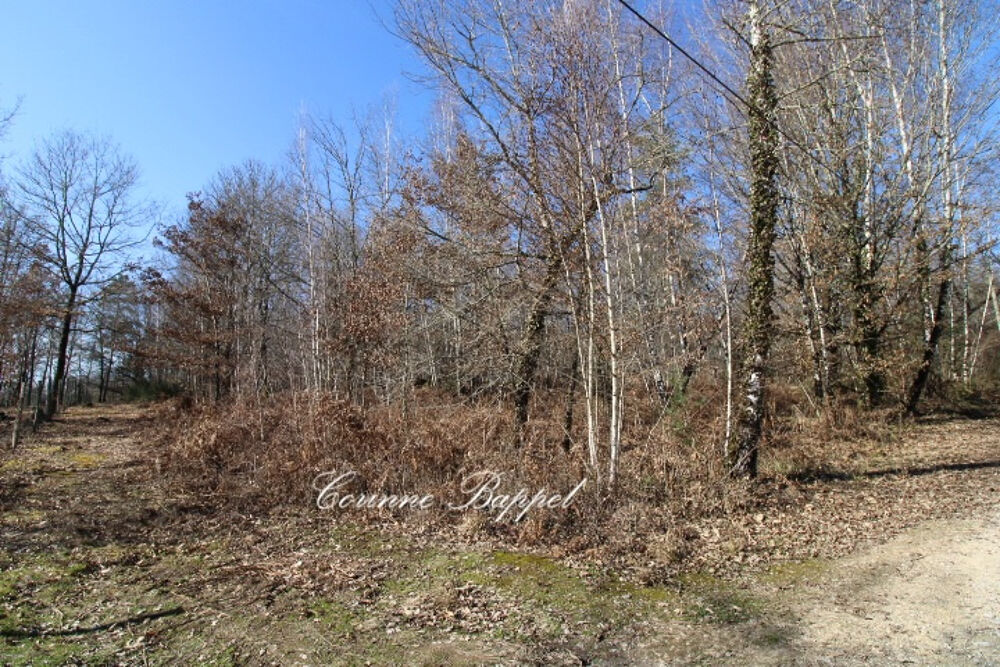 Vente Terrain NOUVEAUTE : Terrain 2 000 m2 pour bâtir Sarliac sur l isle