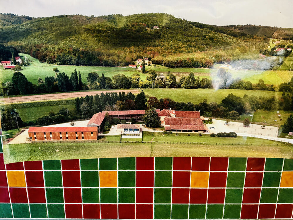 � vendre  Propri�t�/ch�teau Montignac (24290)