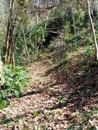  Terrain � vendre 1718 m�