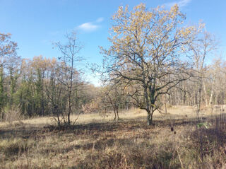  Terrain � vendre 1380 m�