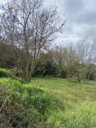  Terrain  vendre 5 pices 550 m