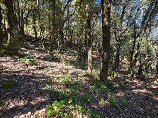  Terrain � vendre 4159 m�