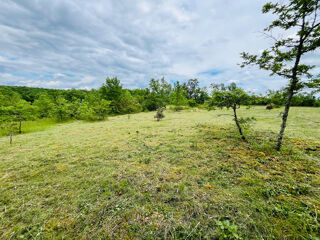Vente Terrain Terrain constructible 3123 m2 Chavagnac