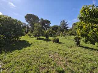  Terrain � vendre 1956 m�