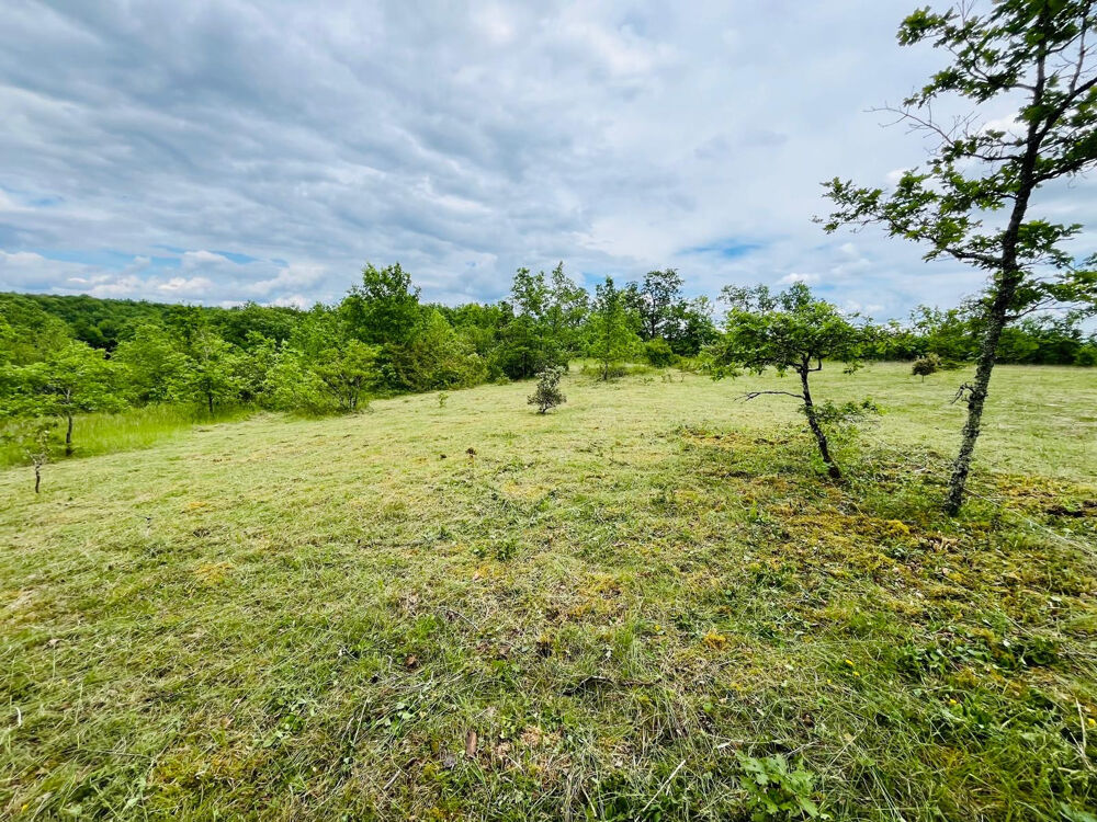 Vente Terrain Terrain constructible 3123 m2 Chavagnac