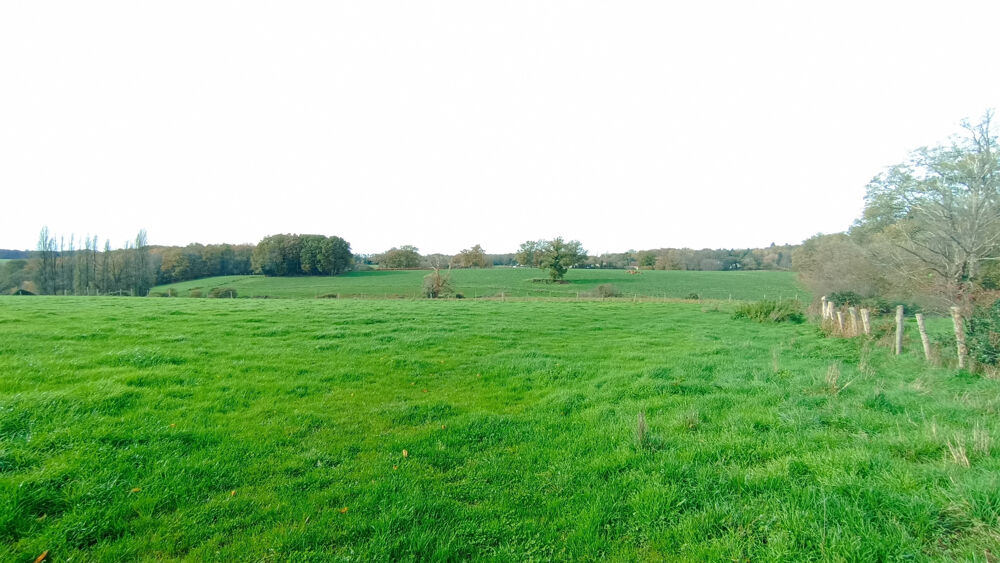 FERME 10 HECTARES AVEC MAISON ET DEPENDANCES POUR PROJET AGRICOLE EQUESTRE PENSION CHEVAUX OU ARTISAN
