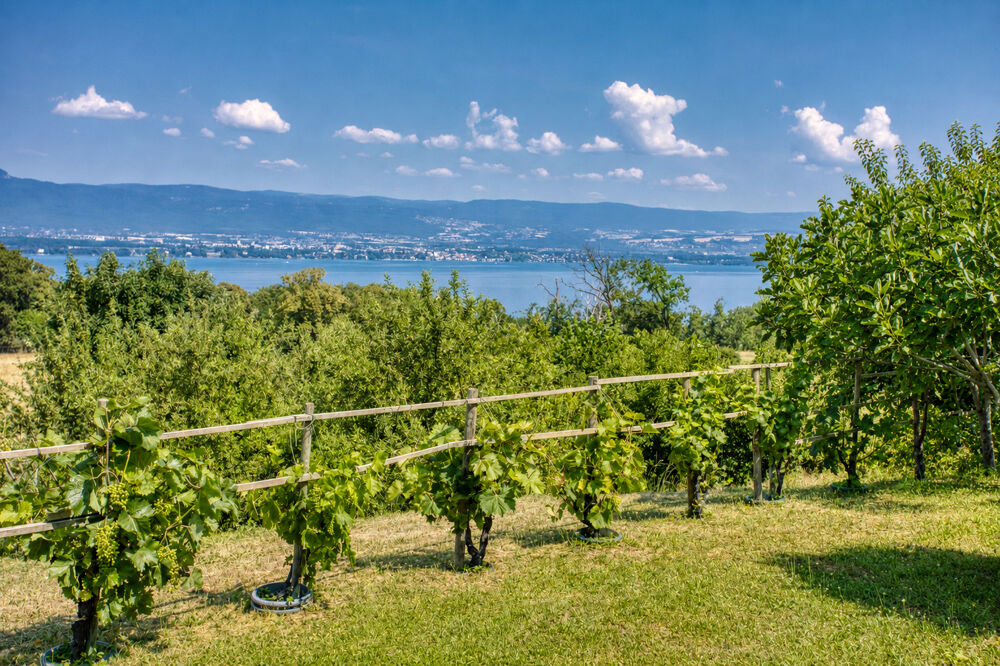 Villa contemporaine 170 m2 Vue lac panoramique Chens-sur-Léman