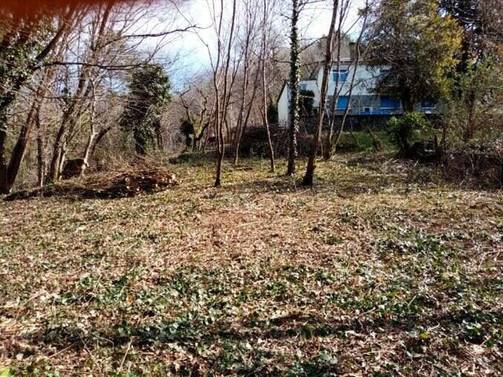 Vente Terrain TERRAIN A VENDRE SUR LES HAUTEURS DE TULLE Tulle