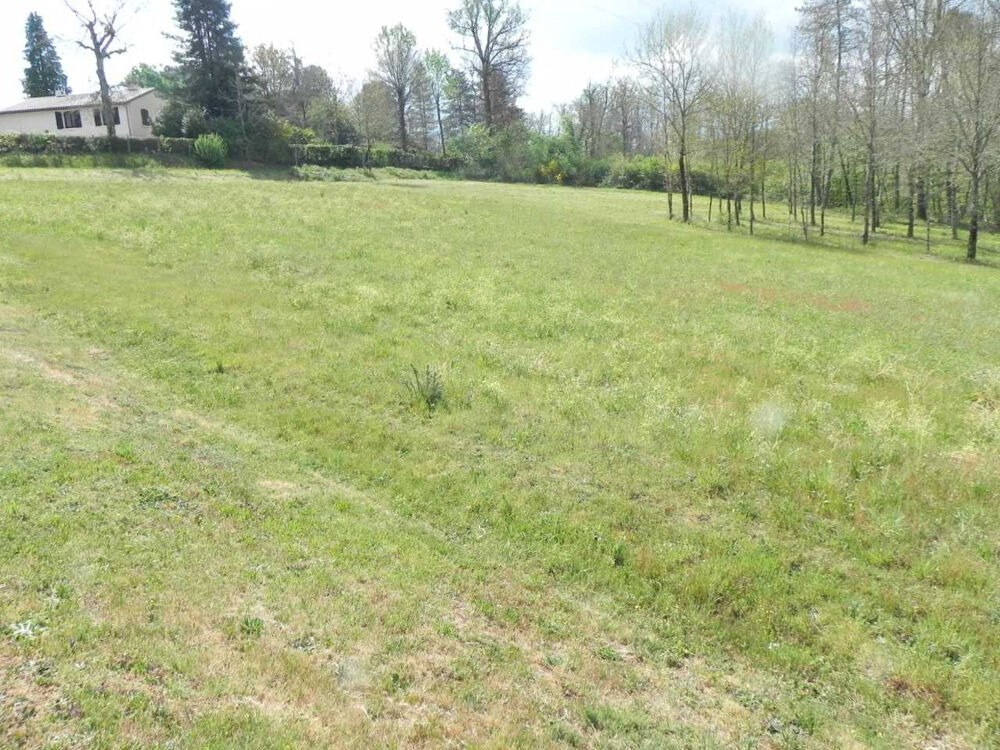 Vente Terrain TERRAIN  A BATIR de 4395m2  pour le PROJET D UNE MAISON D HABITATION  A PROXIMITE DE GOURDON Gourdon
