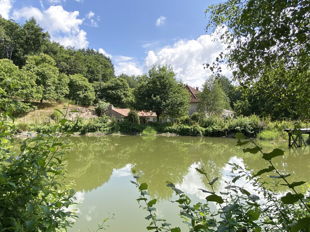 Vente Propriété/Château SUPERBE PROPRIETE ALLIANT ELEGANCE ET AUTHENTICITE Latronquiere