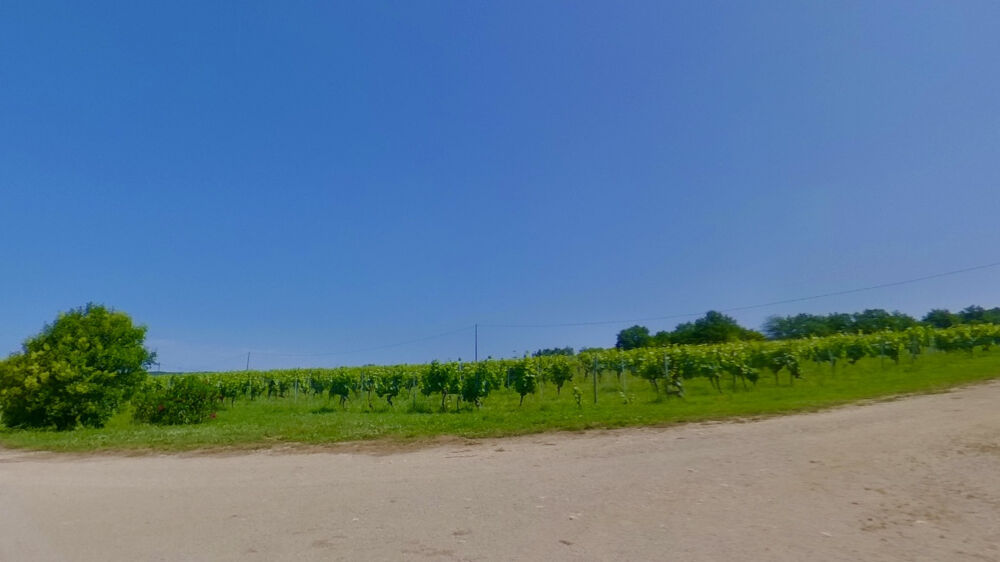  vendre  Maison Vire-sur-Lot (46700)