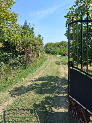  Terrain à vendre 5359 m²