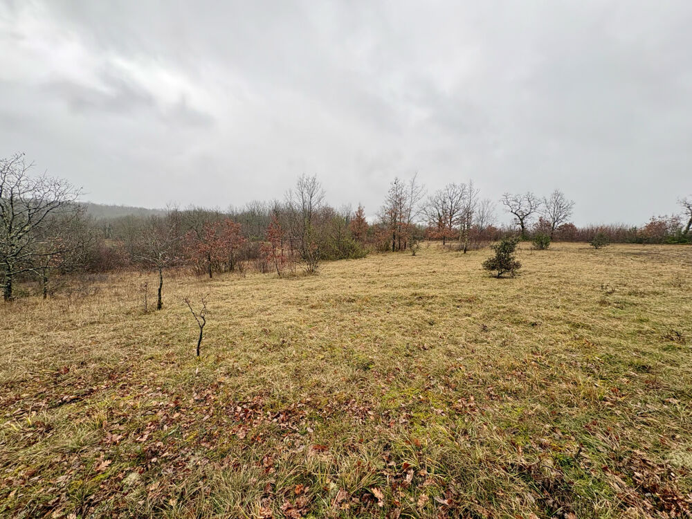Vente Terrain Terrain constructible 3123 m2 Chavagnac