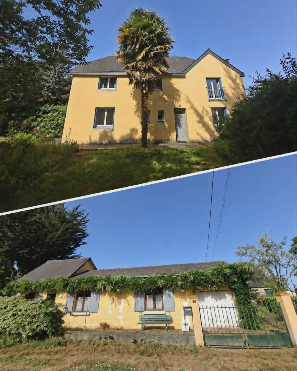 Vente Propriété/Château Ensembles de 2 Maisons sur propriété de 4730m2 + 12760 m2 de terrain en face( Concoret) dont un verger. Concoret