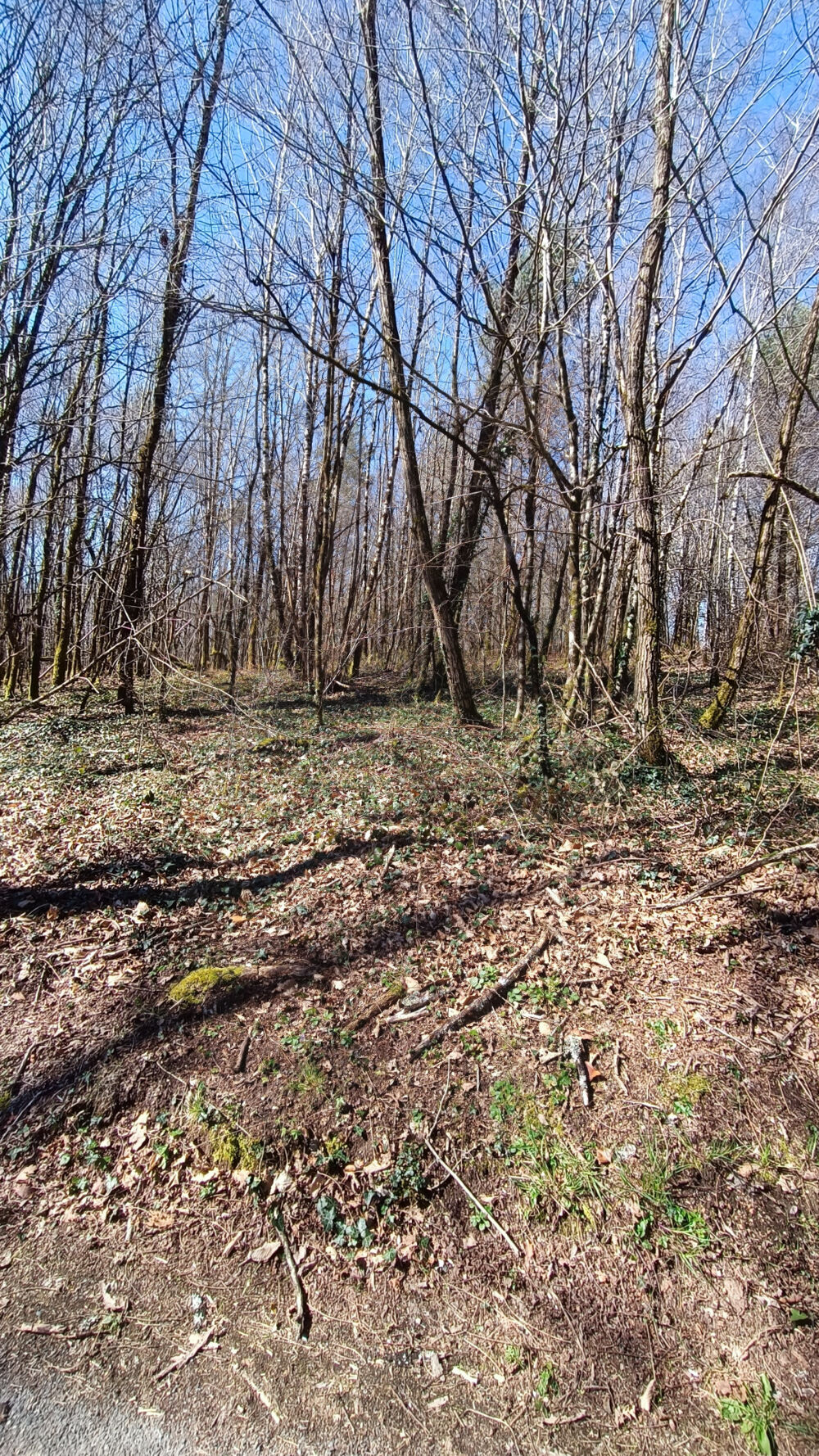 Vente Terrain Terrain constructible. Sarliac sur l isle