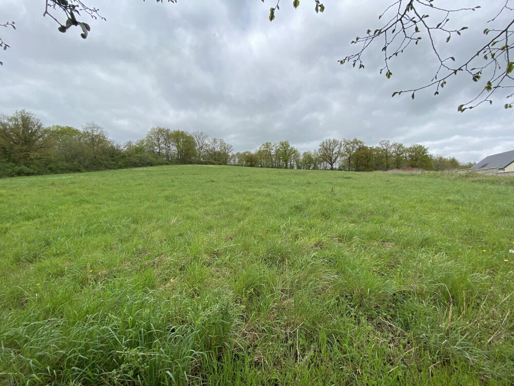 Vente Terrain NORD VENDÔME Pezou
