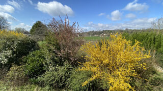  Terrain � vendre 990 m�
