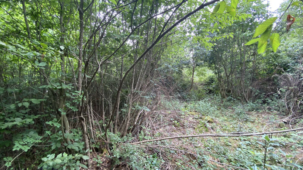 Vente Terrain OUEST VENDOME Vendome
