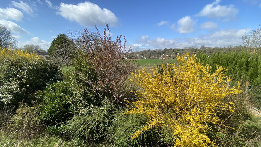 Vente Terrain 990 m² - Vue 4