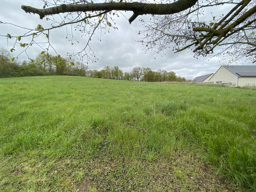Vente Terrain NORD VENDÔME Pezou