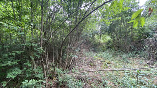  Terrain à vendre 1984 m²