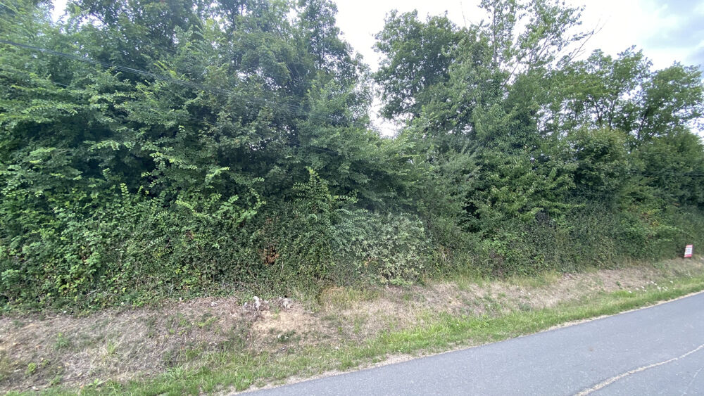 Vente Terrain OUEST VENDOME Vendome