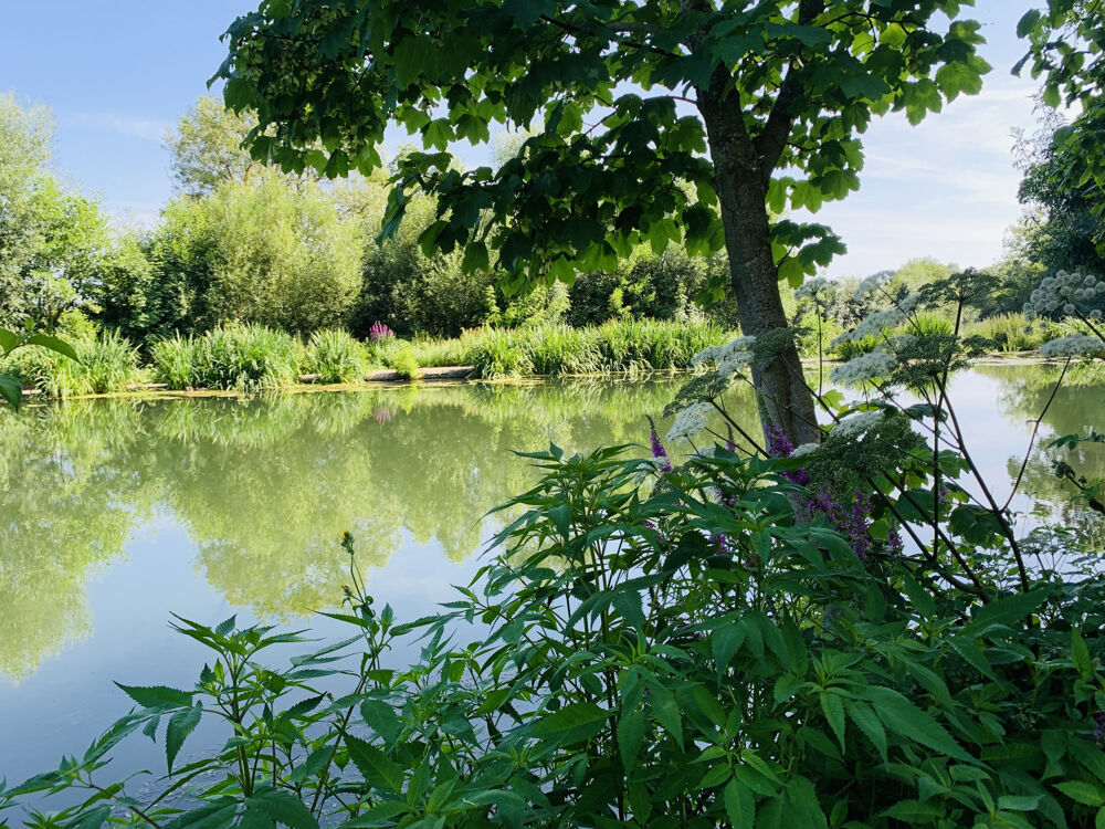 Vente Maison MAISON et BORD DE LOIR Mazange