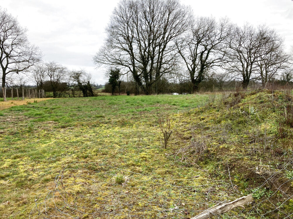 Vente Terrain NORD OUEST VENDOME Vendome