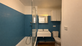  Appartement à louer 1 pièce 24 m²
