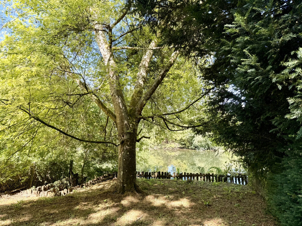 Vente Terrain TERRAIN DE LOISIRS AVEC ACCÈS DIRECT AU LOIR   7 MIN DE CLOYES-LES-TROIS-RIVIÈRES Moree