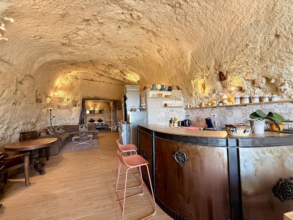 � vendre  Propri�t�/ch�teau Vend�me (41100)